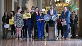 Nueva ley en Nueva York busca frenar el acoso digital y proteger a las víctimas