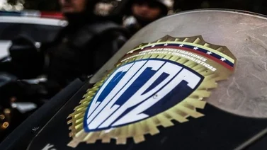 Capturan a dos sujetos que estafaban con falsas inversiones en ganado y siembra: al recibir el dinero cortaban comunicación