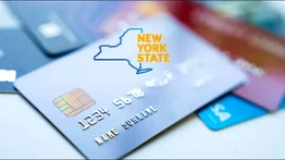 Summer EBT Nueva York