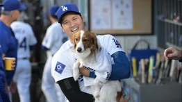 Decoy está de cumple: el regalo de Shohei Ohtani a su famoso perrito