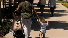 Beneficio EBT de verano: cómo solicitar la ayuda de 120 dólares por hijo en California 