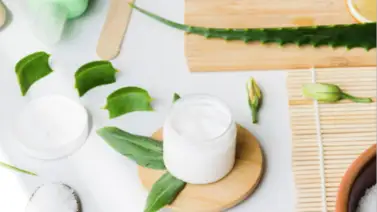 Milagros del aloe vera en tu piel: crema hidratante casera fácil de preparar Milagros del aloe vera en tu piel: crema hidratante casera fácil de preparar