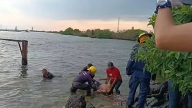 Localizan a dos adolescentes de 14 años sin vida: Cicpc investiga las causas