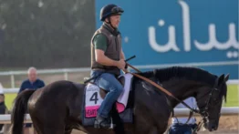 Gaceta Hípica: "El batacazo" para el Preakness 150 que debes conocer