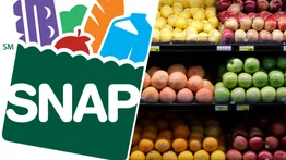 Plazos de renovación y pagos para mayo en SNAP: estos son los documentos que debes llevar