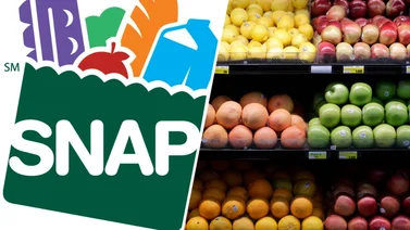 Plazos de renovación y pagos para mayo en SNAP: estos son los documentos que debes llevar