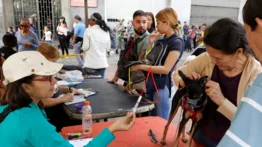 Habrá jornada veterinaria gratuita en San Agustín este 17 de mayo: contarán con servicio de vacunas