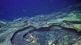Conoce el volcán submarino en la costa de Estados Unidos que podría entrar en erupción: de esta manera afectará