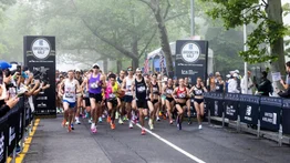 Media Maratón RBC Brooklyn 2025