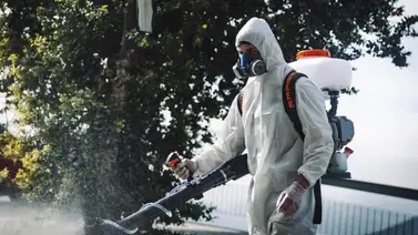 Servicio de fumigación gratis en Chacao: cómo solicitarlo y número de contacto Servicio de fumigación gratis en Chacao: cómo solicitarlo y número de contacto