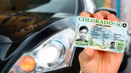 Reemplazar licencia de conducir Colorado