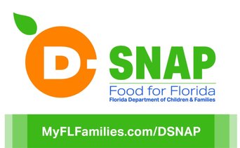 SNAP Florida: beneficiarios que recibirán pagos del 19 al 25 de mayo según su terminal