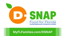 SNAP Florida: beneficiarios que recibirán pagos del 19 al 25 de mayo según su terminal