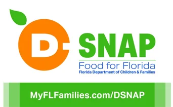 SNAP Florida: beneficiarios que recibirán pagos del 19 al 25 de mayo según su terminal