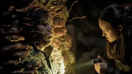 The Last of Us’ lanza esta noche su penúltimo capítulo: hora exacta y dónde verlo en streaming