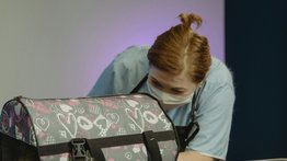 Nueva-york-servicios-veterinarios-gratuitos