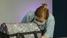 Nueva-york-servicios-veterinarios-gratuitos