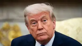 Donald Trump investiga a los artistas que apoyaron a Kamala Harris: "Los candidatos no pueden pagar por APOYO"