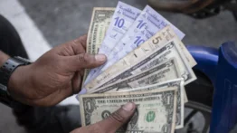 Billetera del Sistema Patria comienza a pagar dos nuevos bonos: quiénes lo cobran
