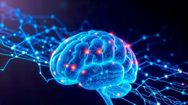 Ni avena ni quinoa: Este es el cereal poco conocido que potencia el funcionamiento de la memoria Ni avena ni quinoa: Este es el cereal poco conocido que potencia el funcionamiento de la memoria