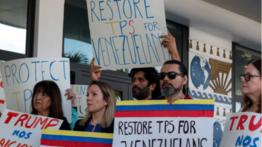 Abogado de migración da tres opciones para los venezolanos que perdieron el TPS