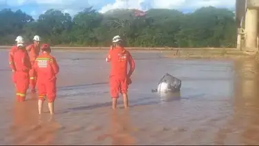 Localizan cadáver maniatado de venezolano en un río: arrestan a pareja de la víctima Localizan cadáver maniatado de venezolano en un río: arrestan a pareja de la víctima