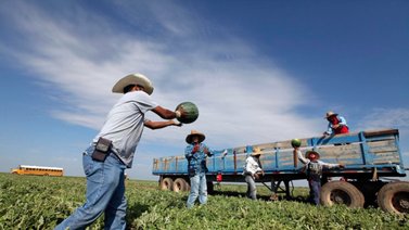 Empresarios le piden a Trump suavizar política migratoria: Tenemos 1,7 millones de puestos sin cubrir