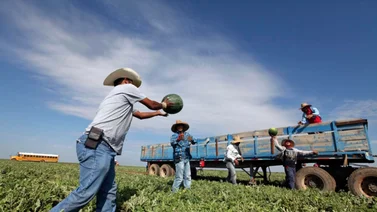 Empresarios le piden a Trump suavizar política migratoria: Tenemos 1,7 millones de puestos sin cubrir