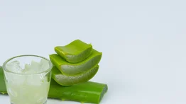 Cabello suave e hidratado: así debes aplicar la mascarilla de aloe vera 