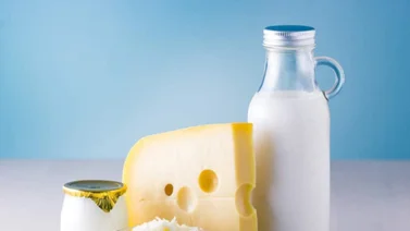 Bajan los precios de la leche y el queso en Venezuela: conozca por qué 
