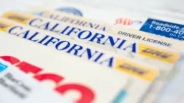 Esta es la licencia de California que le permite conducir a los indocumentados: no cambia el estatus migratorio Esta es la licencia de California que le permite conducir a los indocumentados: no cambia el estatus migratorio