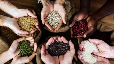 ¿Tienes el colesterol alto? Descubre cómo esta semilla puede controlarlo para siempre