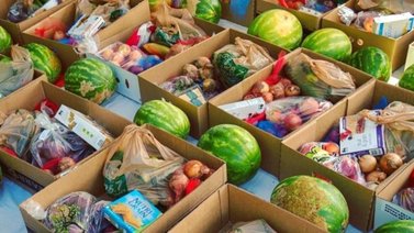 comida gratis carolina del norte