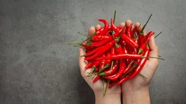 Científicos explican cómo usar el picante para bajar de peso: estudio de la Universidad de Pensilvania