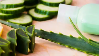 Hidrata el rostro con una mascarilla fácil de preparar a base de aloe vera Hidrata el rostro con una mascarilla fácil de preparar a base de aloe vera