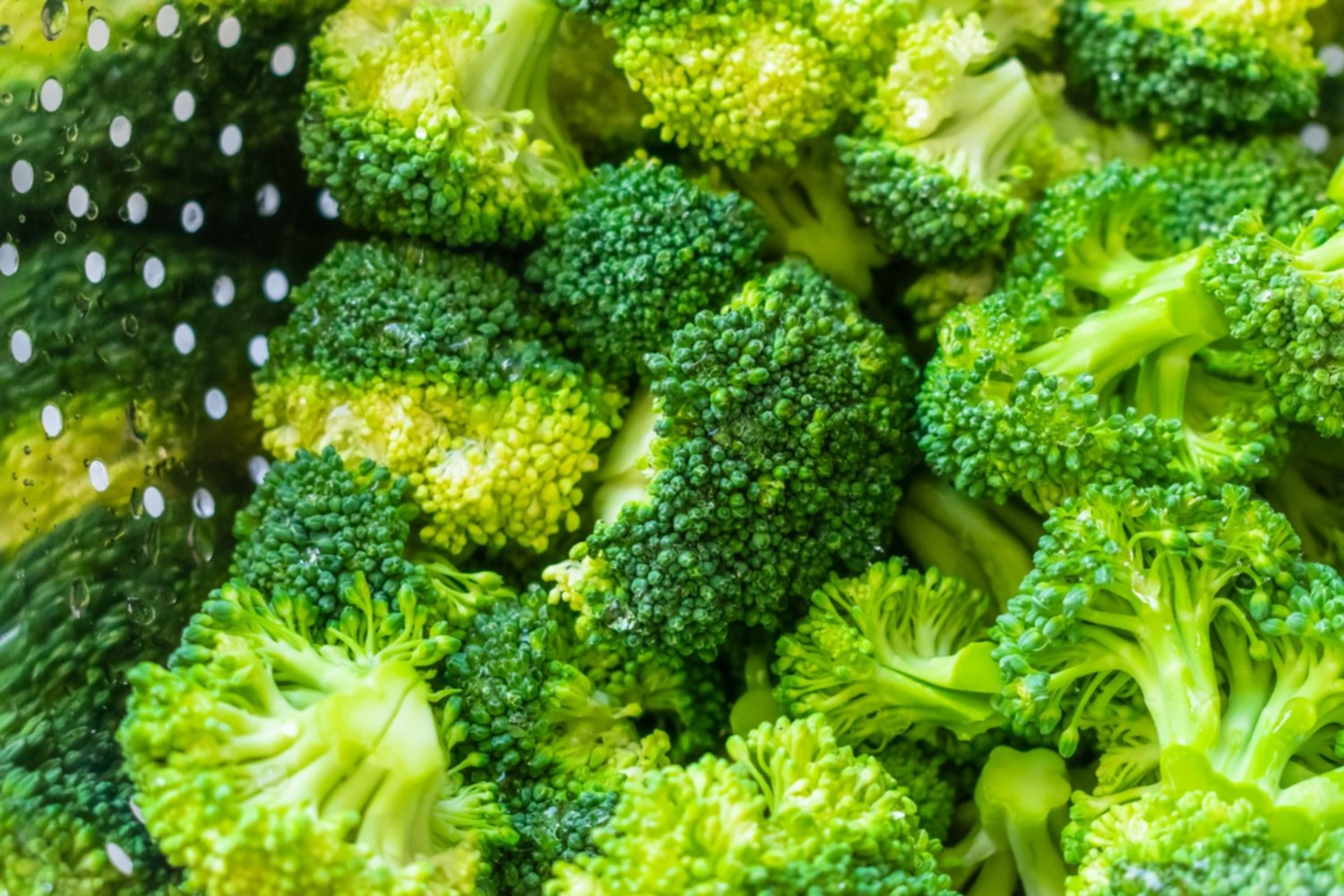Dieta de la longuevidad: con estos tres alimentos ganarás años de vida Dieta de la longuevidad: con estos tres alimentos ganarás años de vida