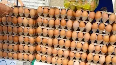 Huevos y queso blanco bajan de precio en Caracas: supermercados y comercios acatan llamado del Ejecutivo Nacional Huevos y queso blanco bajan de precio en Caracas: supermercados y comercios acatan llamado del Ejecutivo Nacional