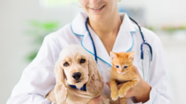Misión Nevado: jornada de atención veterinaria este 30 de mayo