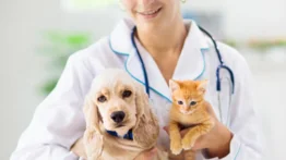 Misión Nevado: jornada de atención veterinaria este 30 de mayo