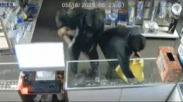 Reportan peculiar robo en Detroit: ladrones sustrajeron miles de dólares en tarjetas Pokémon Reportan peculiar robo en Detroit: ladrones sustrajeron miles de dólares en tarjetas Pokémon