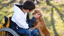 Los perros de apoyo ¿Ayudan a mejorar la salud mental o física?: entérese aquí