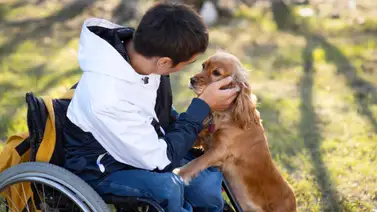 Los perros de apoyo ¿Ayudan a mejorar la salud mental o física?: entérese aquí Los perros de apoyo ¿Ayudan a mejorar la salud mental o física?: entérese aquí
