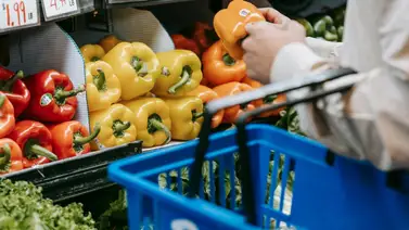 pagos-snap-florida-primera-semana-junio pagos-snap-florida-primera-semana-junio