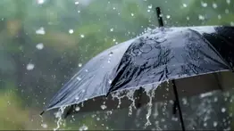 Pronóstico Inameh: ¿Dónde y cuándo habrá lluvias la semana que viene?