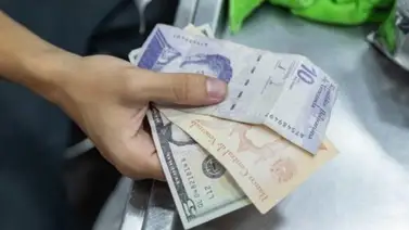 Bono Único Familiar mayo 2026: ¿Viene con nuevo monto? Bono Único Familiar mayo 2026: ¿Viene con nuevo monto?