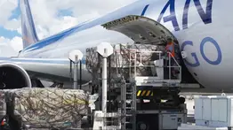 Activan nueva conexión aérea Miami-Caracas para fortalecer el mercado venezolano: de qué trata