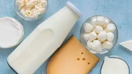 Toda la verdad sobre el consumo de lácteos en tu dieta: expertos disipan mitos y aclaran todas las dudas