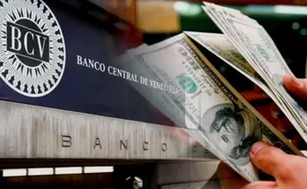 Dólar y euro BCV para hoy 6 de mayo: así se cotizan las monedas oficiales