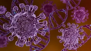 ¿Se expande el contagio? La OMS confirma otro paciente con síntomas de hantavirus en el crucero ¿Se expande el contagio? La OMS confirma otro paciente con síntomas de hantavirus en el crucero