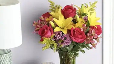 Guía de plantas para mamá en EEUU: flores que duran un año y fáciles de cuidar para sorprenderla este domingo Guía de plantas para mamá en EEUU: flores que duran un año y fáciles de cuidar para sorprenderla este domingo